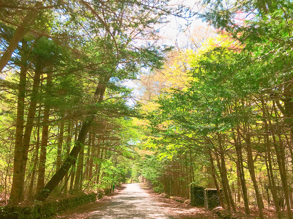 紅葉の時期の軽井沢町