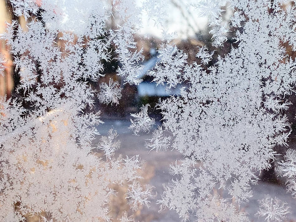 雪の結晶