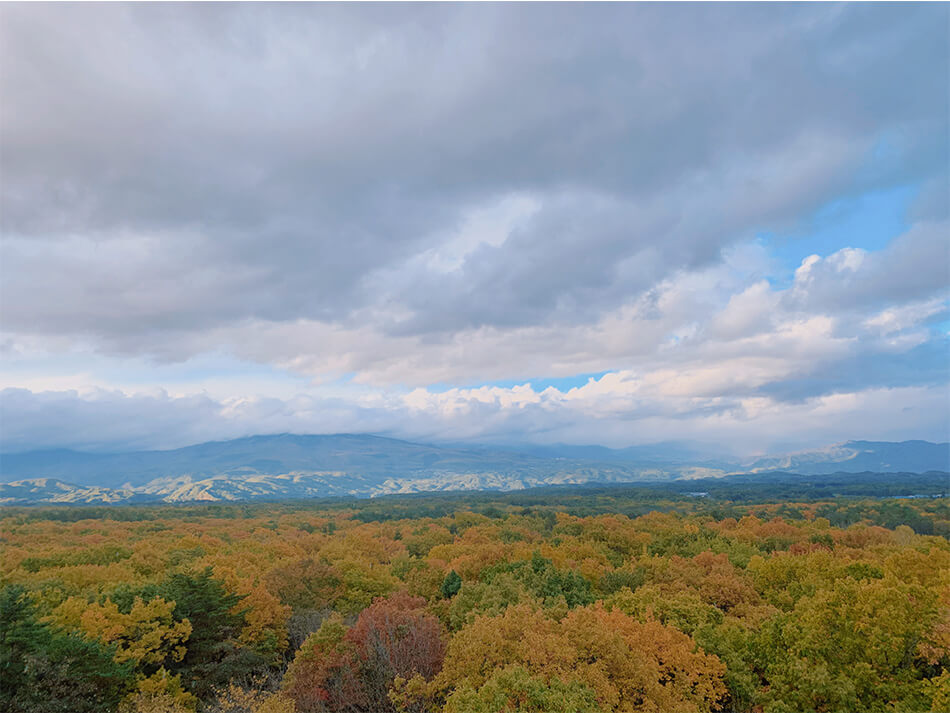 軽井沢の景色