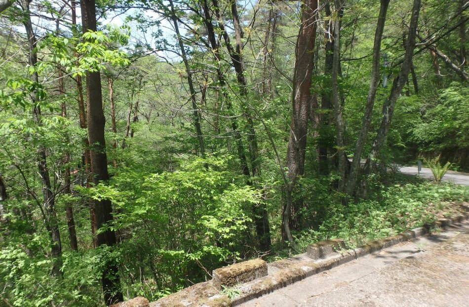 千ヶ滝別荘地 山の手区 松ヶ丘 土地 明るい南傾斜角地の区画