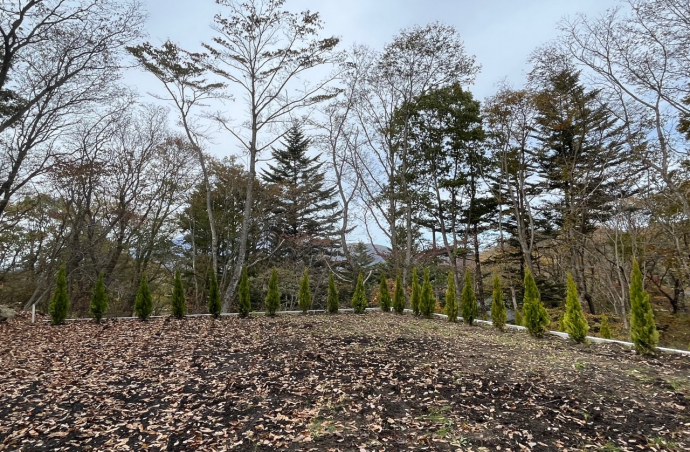 南軽井沢 扇平別荘地　土地　北西側に浅間山方面の眺望を愉しめる造成済の区画