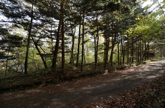 軽井沢　千ヶ滝別荘地　土地　