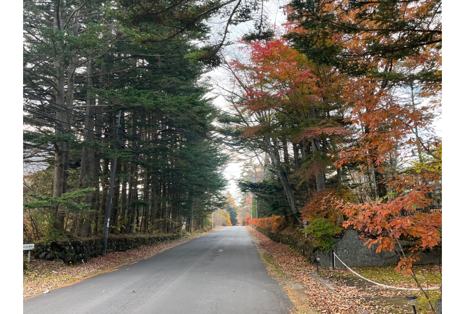 前面道路