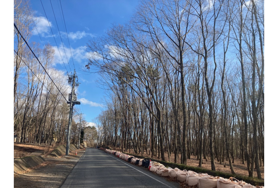 前面道路（東→西）