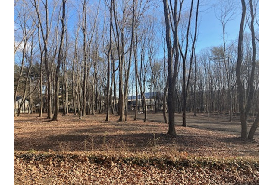 山並が見える南側の風景